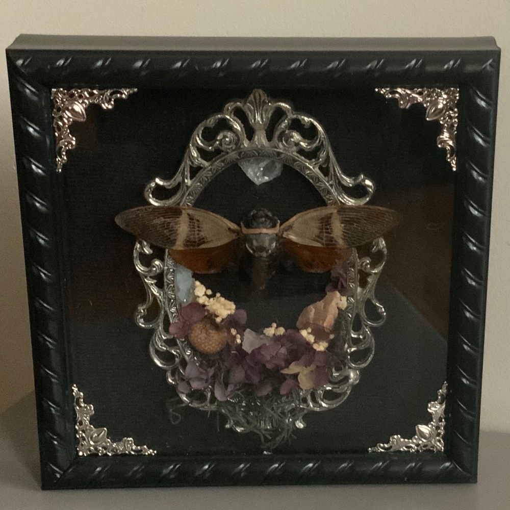 Custom handmade double framed cicada